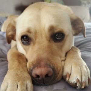 Meet your Posher, Nannette